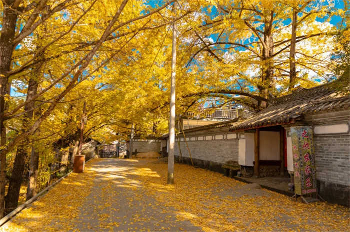 Kinh nghiệm du lịch Đằng Xung, Trung Quốc – Hành trình khám phá thiên nhiên nguyên sơ và văn hóa đặc sắc