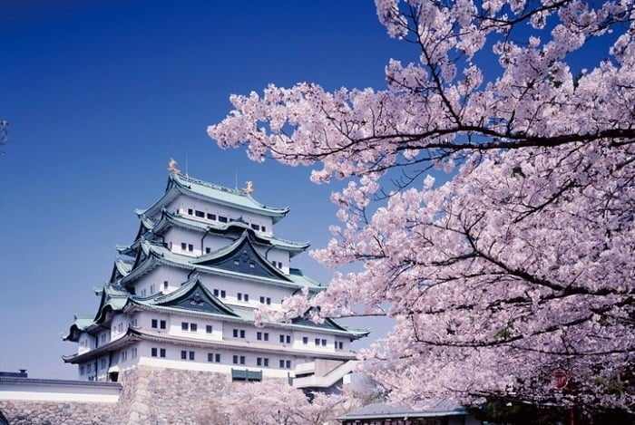 Tour Nhật Bản hot 2025: Nagoya – Nara - Osaka – Kyoto – Núi Phú Sỹ – Tokyo 6N5D