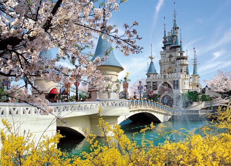 Hành Trình Hàn Quốc Sắc Màu 2025: Seoul – Nami – Lotte World – Hongdae – Starfield 5N4Đ