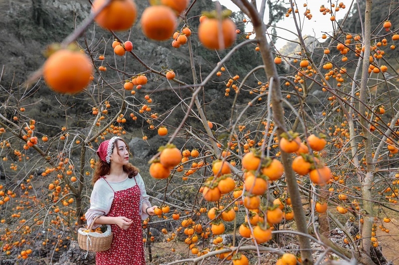 Tour du lịch Mộc Châu: Đèo Đá Trắng - Thác Chiềng Khoa - Hang Táu
