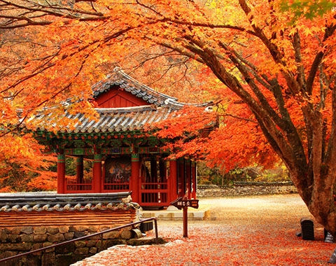 Du lịch Nhật Bản