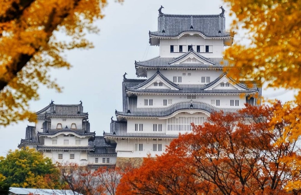 Hành trình cung đường vàng Nhật Bản 2024 - KH Đà Nẵng