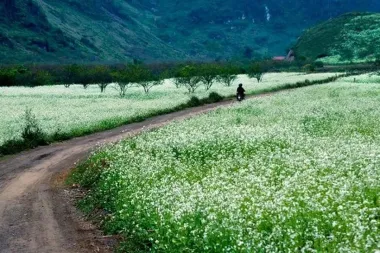 Tour Mộc Châu: Đèo Đá Trắng - Thác Chiềng Khoa - Hang Táu