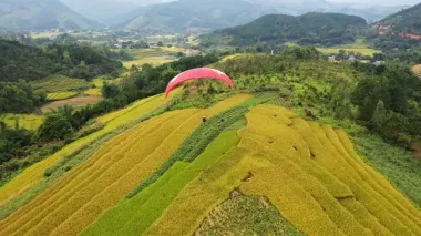 Tour Tiên Yên - Bình Liêu thiên đường cỏ lau 2N1Đ