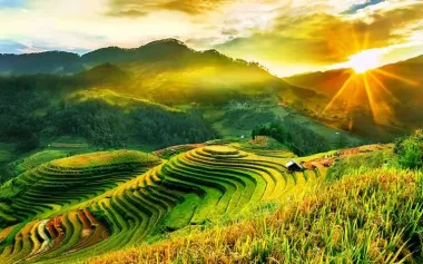 Tour Mù Cang Chải - Ngọc Chiến - Tà Xùa mùa lúa chín 3N2Đ