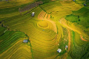 Tour Hà Nội - Mù Cang Chải mùa lúa chín 2N1Đ