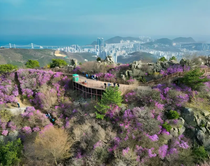 du lịch busan
