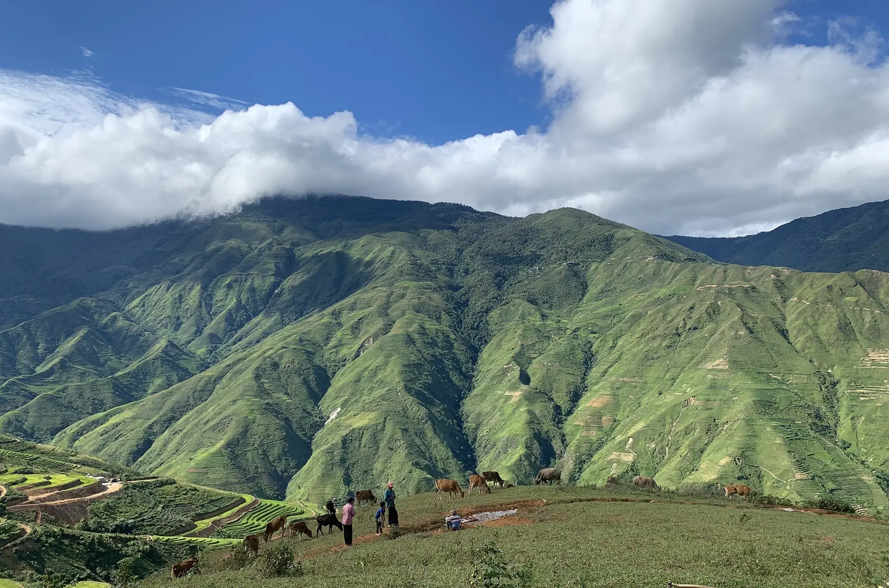 Tour Mù Cang Chải - Ngọc Chiến - Tà Xùa mùa lúa chín 3N2Đ